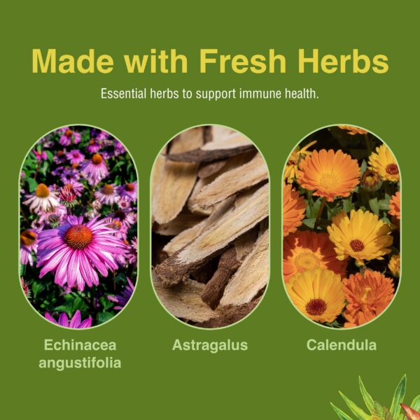 Suplemento Immunoboost Herbs Etc bote con cápsulas