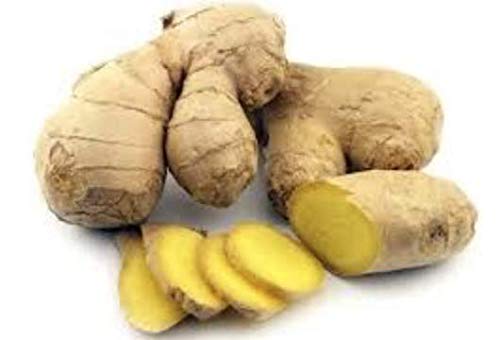 Version 1.0.0 Suplemento jengibre orgánico Harmony caja y frasco