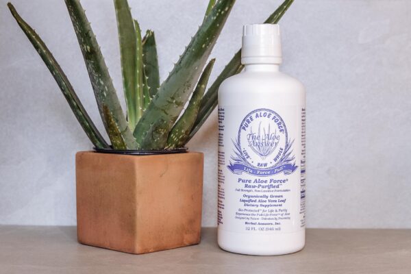 Suplemento licuado aloe vera sin OGM y sin gluten