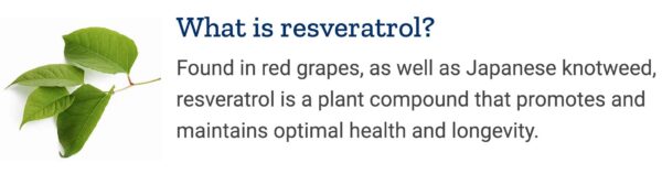 Seguridad y pruebas de laboratorio