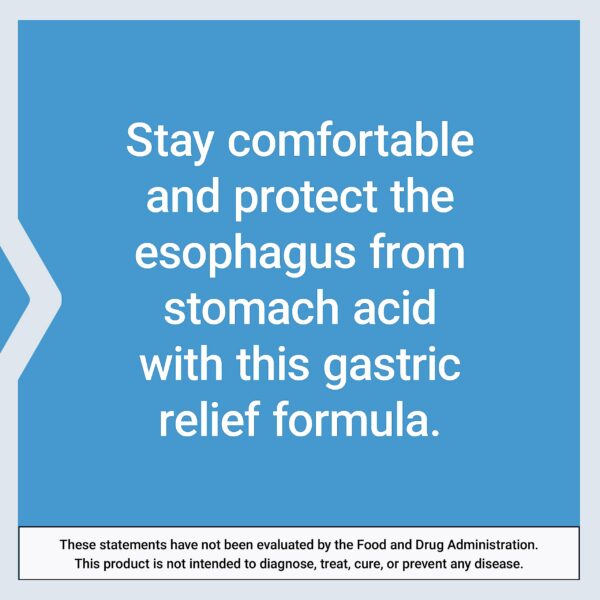 Version 1.0.0 Suplemento Life Extension Esophageal Guardian tabletas no GMO