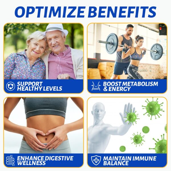 suplemento liposomal berberina nano-ingeniería para absorción