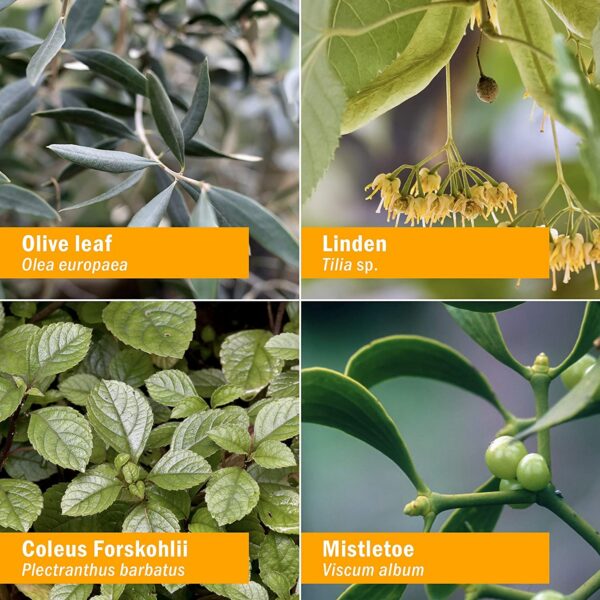 Suplemento líquido cardiovascular Herb Pharm 1 oz