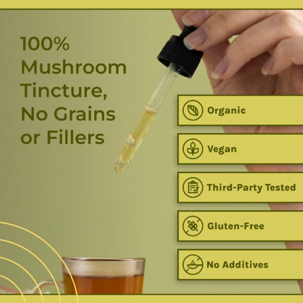 Melena de león naturaleza saludable para enfoque y memoria