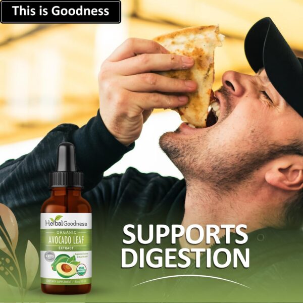 Suplemento líquido hoja de aguacate para salud metabólica