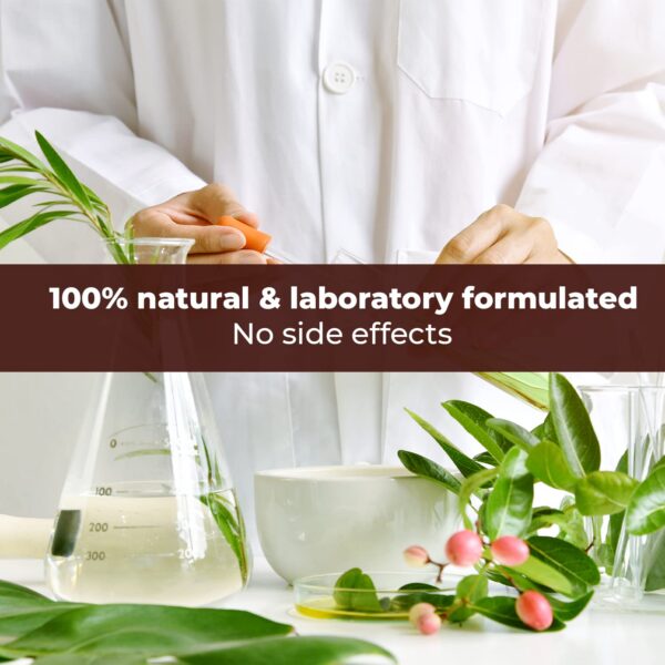 Suplemento líquido rapid detox Wellgenix sabor ponche