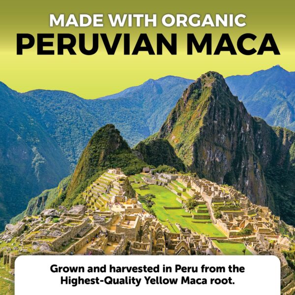 Version 1.0.0 Suplemento maca peruana 500mg por cápsula 250 unidades