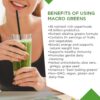 Suplemento macro greens sin GMO vegano saludable