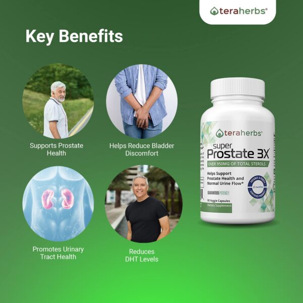 Version 1.0.0 Suplemento masculino próstata saludable Tera Herbs Beta Sitosterol