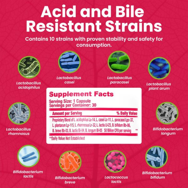 Suplemento Mega-Strain para salud digestiva sin refrigeración