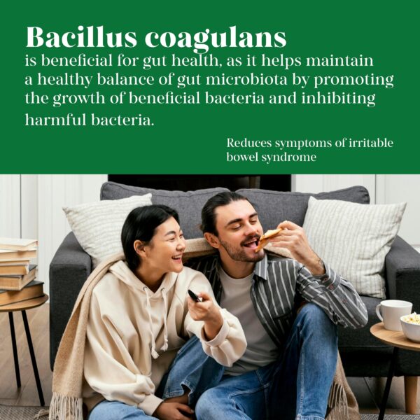 Suplemento saludable MEIBOTAN probióticos para SII