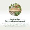 Suplemento para mejor estado de ánimo y energía Snap Supplements