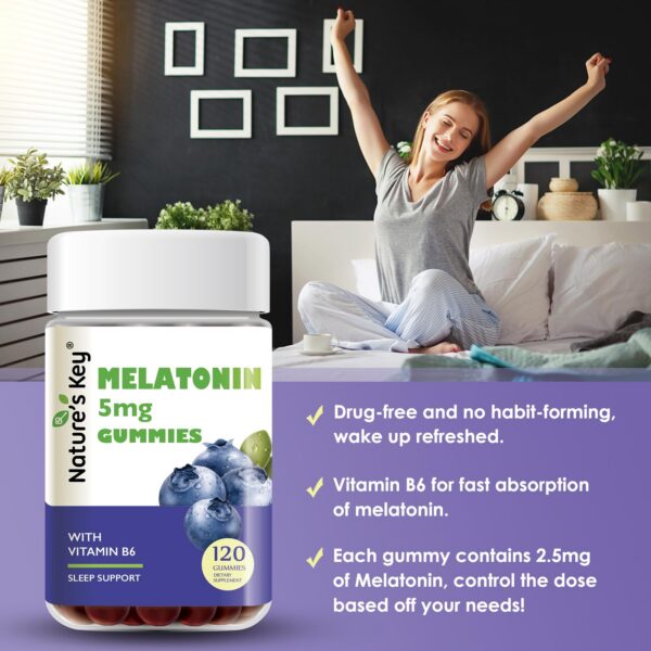 Version 1.0.0 Suplemento melatonina en gomitas sabor natural arándano