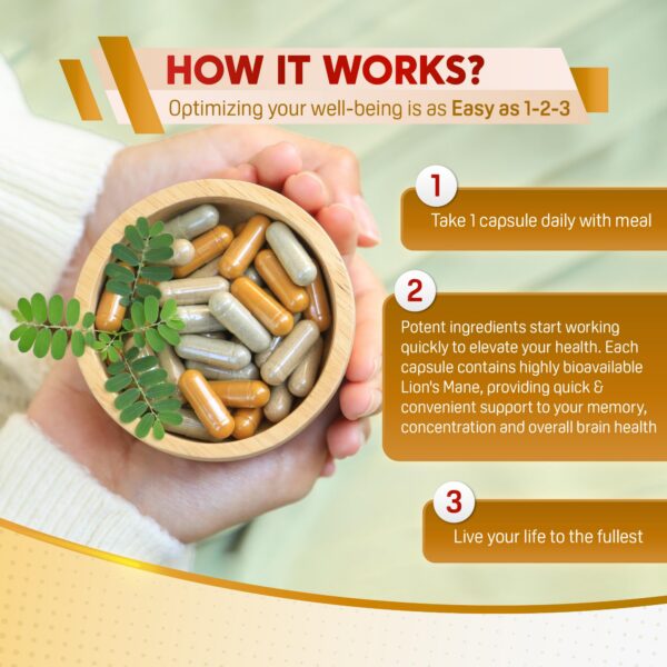 Suplemento para memoria y energía Melena de León PeakPury