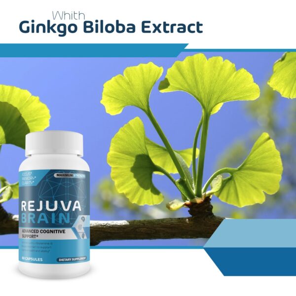 Suplemento de memoria Rejuva Brain con vitamina B12