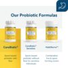 Suplemento para microbioma intestinal con fibra prebiótica orgánica