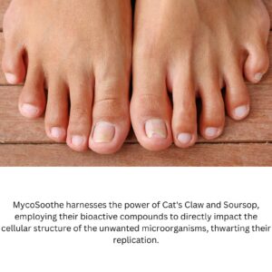 Suplemento MycoSoothe para Bienestar General