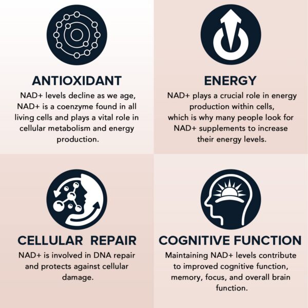 Suplemento NAD+ Fabamax con tecnología liposomal