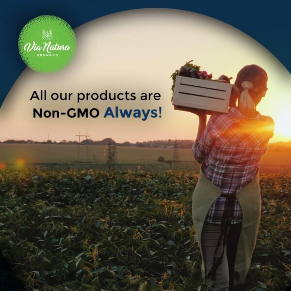 Version 1.0.0 Suplemento natural 120 cápsulas de saúco orgánico Via Natura