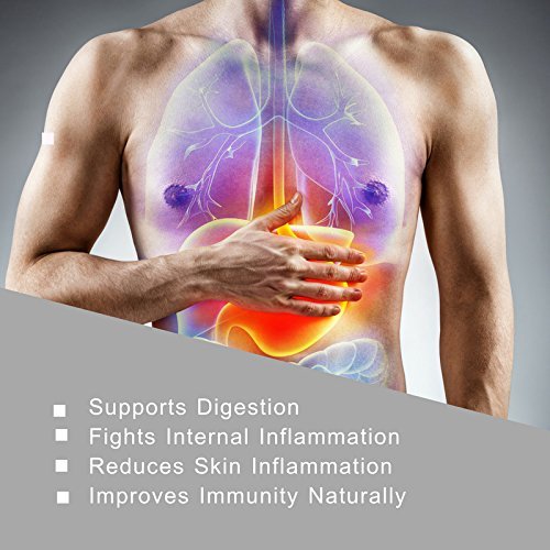 Suplemento natural aloe vera HERBAL HILLS con vitaminas y minerales