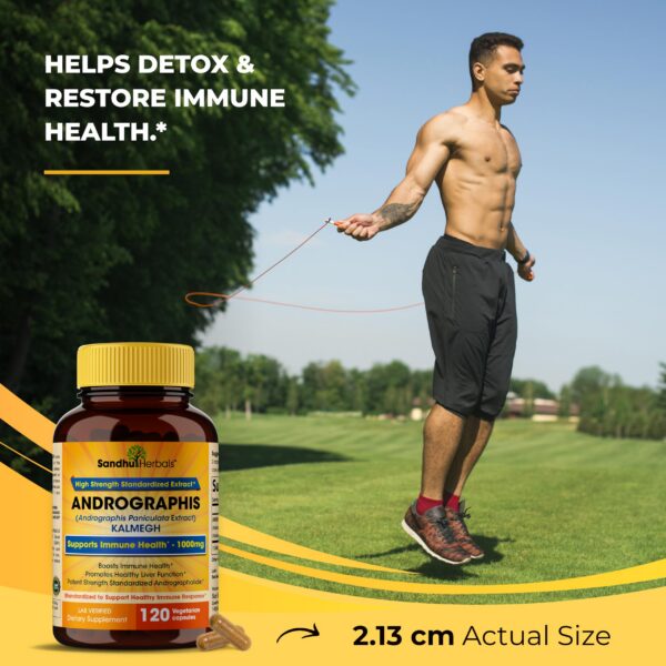 Version 1.0.0 Suplemento natural Andrographis para salud hepática e inmune