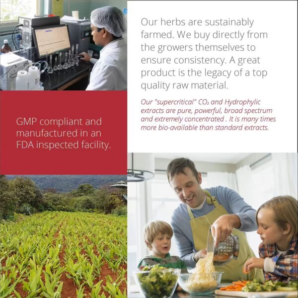 Suplemento natural para apoyo cardiaco y colesterol 60 cápsulas