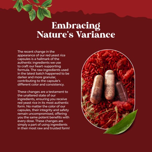 Suplemento natural Arroz de levadura roja CoQ10 envase