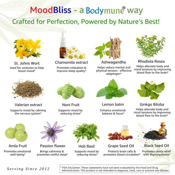 Suplemento natural con Ashwagandha y Hierba de San Juan para estrés