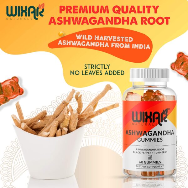 Version 1.0.0 Suplemento natural Ashwagandha Wixar Naturals