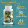 Suplemento natural chlorella Chronox para sistema inmune sano