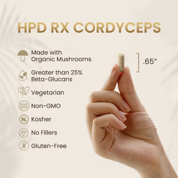 Suplemento natural HPD Rx Cordyceps para deportistas y activos