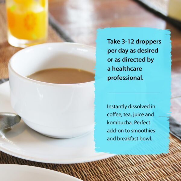 Suplemento natural Dragon Herbs mezcla ginseng americano rojo blanco