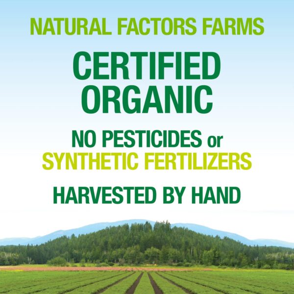 Suplemento súper hongo natural factors vista lateral