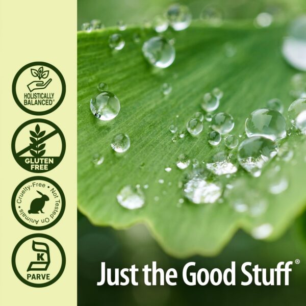 Suplemento natural Ginkgo Biloba Nature's Answer presentación frontal