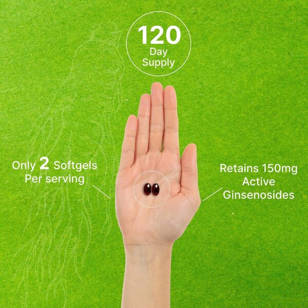 Version 1.0.0 Suplemento natural de ginseng rojo coreano para energía y defensa inmune