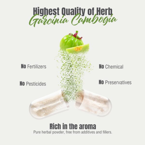 Suplemento natural Herbsforever Garcinia Cambogia