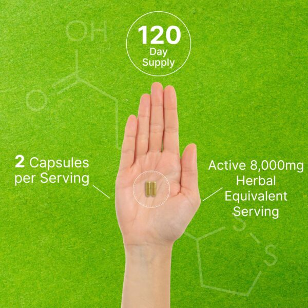 Suplemento natural de hongos orgánico 10-en-1 240 capsulas DEAL SUPPLEMENT