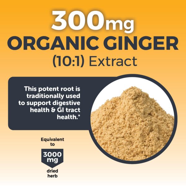 Suplemento natural jengibre cúrcuma con beneficio antioxidante