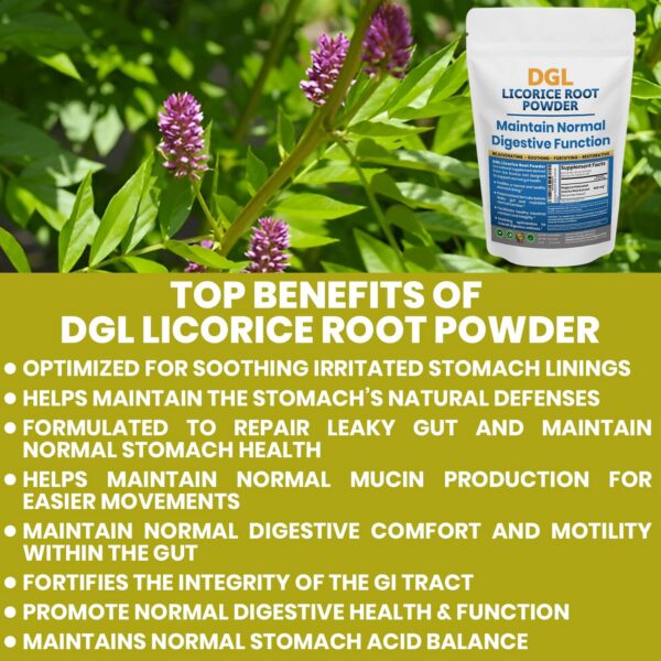 Suplemento natural Kidney Restore DGL polvo regaliz