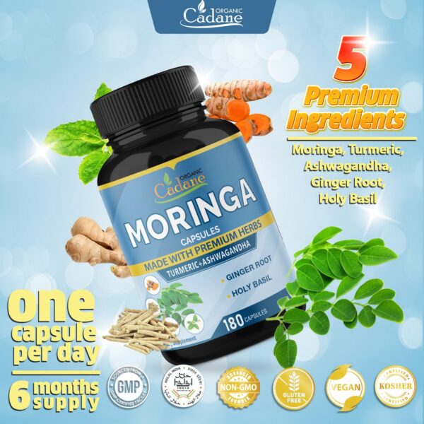Suplemento natural moringa cúrcuma jengibre Tulsi Ashwagandha