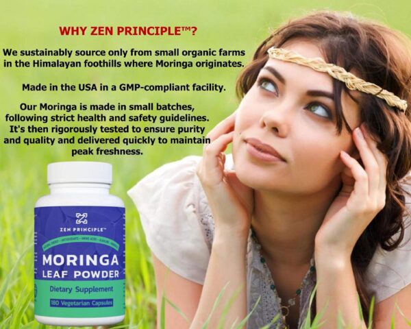 Suplemento natural moringa oleifera antioxidantes aminoacidos