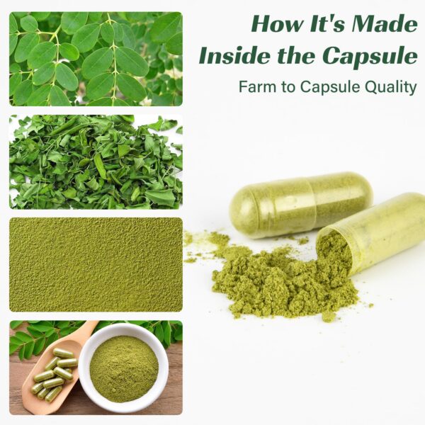 Suplemento natural moringa para salud de piel, articulaciones y digestión