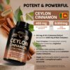 Suplemento natural Nutraharmony Canela de Ceilán 20:1 para metabolismo