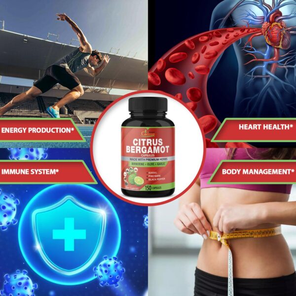 Suplemento natural orgánico certificado GMP e ISO para salud integral