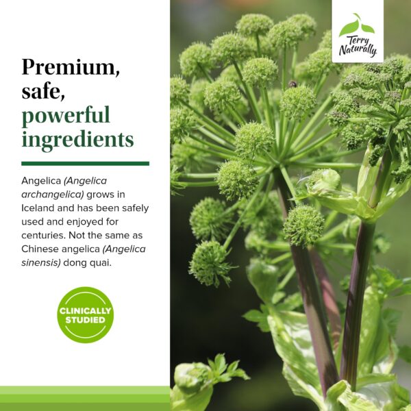 Suplemento natural para vejiga Terry Naturally 60 cápsulas