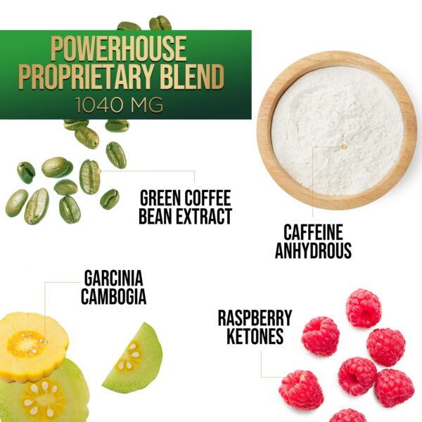 Version 1.0.0 Suplemento natural café verde para energía y sistema inmune