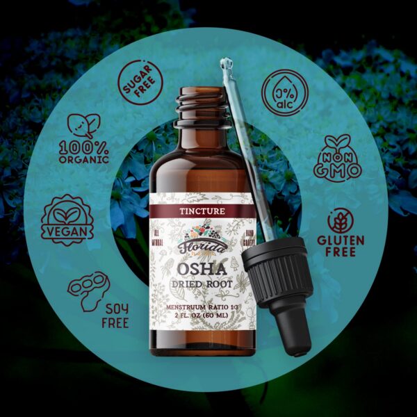 Suplemento natural tintura OSHA Florida Herbs original