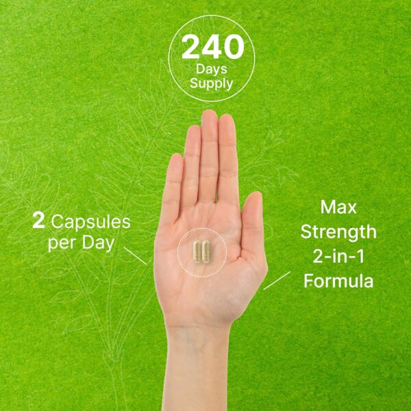 Suplemento natural tongkat ali con horny goat weed en cápsulas