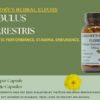 Suplemento natural Tribulus Terrestris Barlowe's Herbal Elixirs