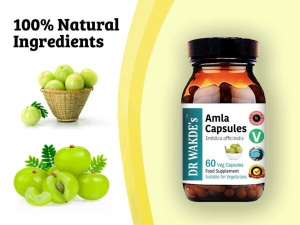 Suplemento natural vegano cápsulas Amla DR WAKDE'S 60 unidades